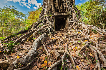 Image showing Sambor Prei Kuk temple ruins, Cambodia