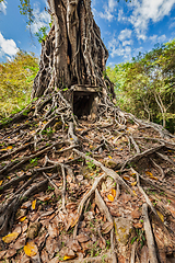 Image showing Sambor Prei Kuk temple ruins, Cambodia