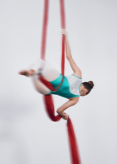 Image showing Aerial silk, acrobat and a woman in air for gymnastics performance, sports and balance. Behind athlete person or gymnast hanging on red fabric and white background with space, art and creativity