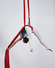 Image showing Silk, gymnastics and aerial acrobat or woman in air for performance, sports and balance. Flexible athlete person or gymnast hanging on red fabric and white background with space, art and creativity