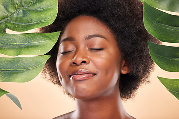 Image showing Happy woman, face and monstera for beauty, natural cosmetics or eco friendly wellness on studio background. African model, green plant leaves and sustainability of vegan dermatology, skincare or glow