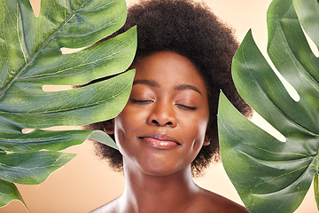 Image showing Woman, face and monstera leaves for beauty, natural cosmetics and aesthetic wellness on studio background. Happy african model, green plants and sustainability of vegan dermatology, skincare and glow