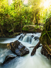 Image showing Tropical waterfall