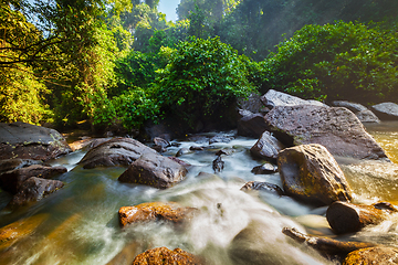 Image showing Tropical waterfall