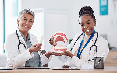 Image showing Dentures, healthcare team or portrait of dentist for dental wellness, teeth whitening or oral care. Happy, medical clinic or orthodontist smile with mold for mouth hygiene, tooth or mouth cleaning