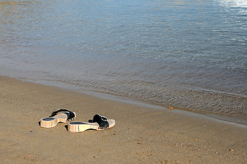 Image showing sea slippers