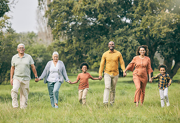 Image showing Portrait, holding hands and happy family at a park walking, bond and having fun in nature together. Love, smile and children with parents, grandparents and freedom, support and trust on forest walk