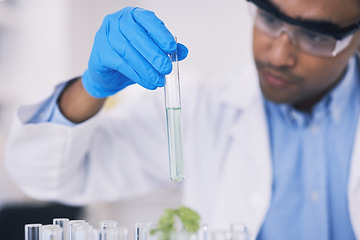 Image showing Science, nature and man with test tube in laboratory, research and thinking with plants. Biotechnology, pharmaceutical study and scientist with leaf, lab technician checking green solution in glass.