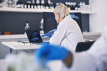 Image showing Scientist, computer screen and DNA research, genetics analysis and study in medical laboratory. Doctor or woman on laptop for virus, vaccine and genes results, solution and science for healthcare