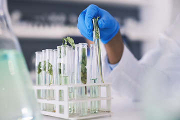 Image showing Science, plants and hands with test tube in laboratory, research and thinking with nature. Biotechnology, pharmaceutical study and scientist with leaf, lab technician checking green solution in glass