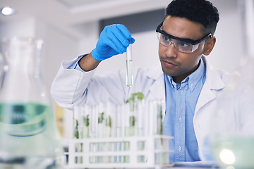 Image showing Science, leaves and man with test tube in laboratory, research and thinking with nature. Biotechnology, pharmaceutical study and scientist with plants, lab technician checking green solution in glass