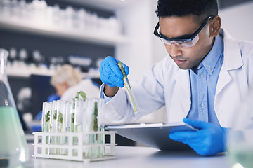 Image showing Science, plants and man with checklist in laboratory, research and thinking with nature. Biotech, pharmaceutical study and scientist with clipboard, lab technician checking solution in test tube.