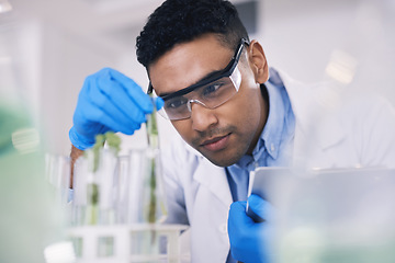 Image showing Research, plants and man with test tube in laboratory, science and thinking with nature. Biotechnology, pharmaceutical study and scientist with leaf, lab technician checking green solution in glass.