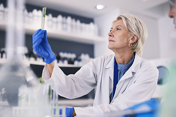 Image showing Science, leaves in test tube and mature woman in laboratory, research and thinking with nature. Biotechnology, agro study and scientist with plants, lab technician checking green solution in glass.