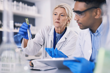 Image showing Science, man and woman with test tube, plants in laboratory and research on agro growth. Biotechnology, natural medicine and scientist team with leaves and problem solving for medical agriculture