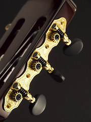 Image showing Guitar Head