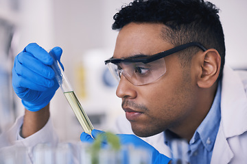 Image showing Science, man and green solution in test tube in laboratory, research and thinking with plants in nature. Biotechnology, eco study and scientist with leaves, lab technician checking leaf in glass.