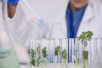 Image showing Science, leaves and hands with test tube in laboratory, research and thinking with nature. Biotechnology, pharmaceutical study and scientist with leaf, lab technician checking green plants in glass.