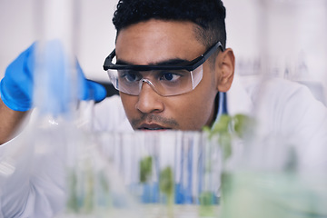 Image showing Science, nature and man with test tube in laboratory, research and thinking with plants. Biotechnology, pharmaceutical study and scientist with leaf, lab technician checking green solution in glass.