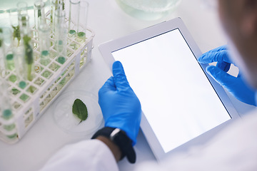 Image showing Scientist, plants and mockup on tablet screen in laboratory for data analysis, eco research or sustainable app. Closeup, hands and digital space for biotechnology, science test or biology information