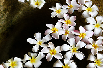 Image showing Floating flowers