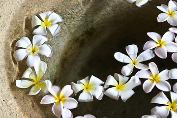 Image showing Floating flowers