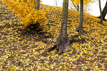 Image showing European autumn