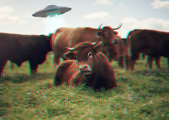 Image showing Ufo, futuristic and spaceship with cow on farm for science fiction, agriculture and universe. Galaxy, mission and outer space with spacecraft and alien abduction in countryside for planet and drone