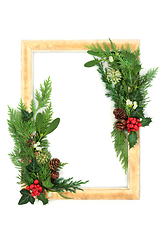Image showing Christmas Festive Winter Greenery Background Frame