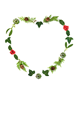 Image showing Minimal Christmas Heart Shape Wreath with Winter Flora 