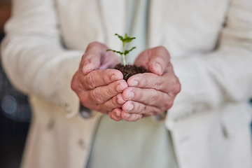 Image showing Earth day, plants and hands of professional person with business growth, climate change support or agriculture development. Eco investment, company charity project and employee palm help environment