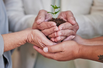 Image showing Support hands, plants and palm of business people with climate change help, agro community service or agriculture development. Future investment, company carbon footprint or group environment project