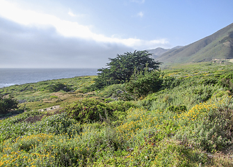 Image showing idyllic coastal scenery in California