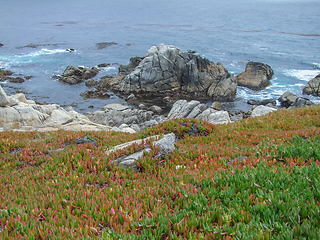 Image showing idyllic coastal scenery in California