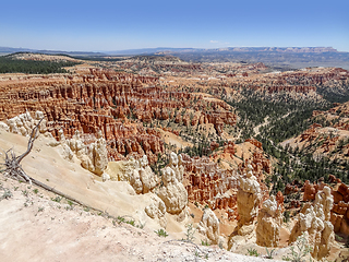 Image showing Bryce Canyon National Park