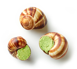 Image showing escargot snail stuffed with garlic and parsley butter