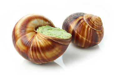 Image showing escargot snail filled with garlic and parsley butter