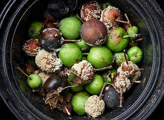 Image showing small green and damaged rotten apples