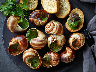 Image showing plate of baked escargot snails filled with parsley and garlic bu