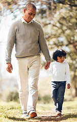 Image showing Grandpa, grandchild and holding hands in the park while walking together in nature for family bonding. Summer, freedom or adventure with a senior man and cute granddaughter outdoor in a garden