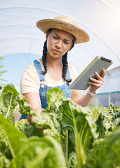 Image showing Farmer, thinking and tablet for greenhouse plants, growth inspection and vegetables development in agriculture. Young woman farming, quality assurance and digital tech for food or gardening progress