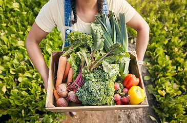 Image showing Person, hands and vegetables box for agriculture, sustainability and farming, product growth and agro business. farmer with green harvest and gardening for commerce, food and groceries basket above