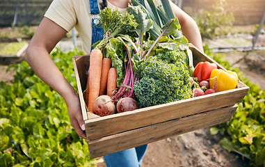 Image showing Greenhouse, hands of woman with box of vegetables and sustainable small business in agriculture. Girl working at farm, natural food and agro growth in summer with organic beetroot, carrots and pepper