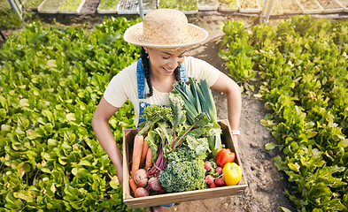 Image showing Farmer, woman and vegetables box for agriculture, sustainability or farming in greenhouse and agro business. worker with green harvest or gardening in commerce, food product or groceries basket above