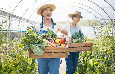 Image showing Women, agriculture and vegetable farming teamwork in a greenhouse for harvest and sustainability. Happy farmer people together on a farm for supply chain, agro startup or organic food for wellness