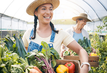 Image showing Farming, agriculture and women team with vegetables in a greenhouse for harvest and sustainability. Happy people working together on farm for eco business, agro startup or organic food for wellness