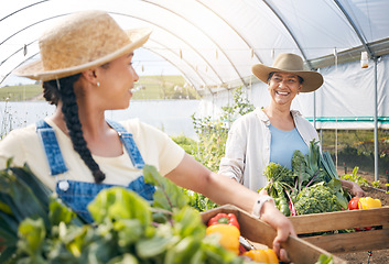 Image showing Farming, agriculture and women with vegetables and teamwork in a greenhouse for sustainability. Happy people working together on a farm for eco lifestyle, agro startup or organic food for wellness