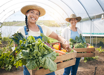 Image showing Agriculture, teamwork and vegetable farming in a greenhouse for sustainability. Portrait of farmer people or women together on a farm for eco lifestyle, agro startup or organic food for wellness