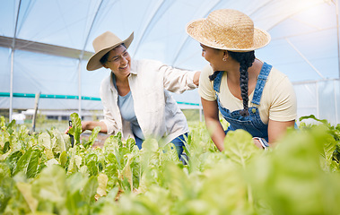 Image showing Farming, agriculture and teamwork with plants in greenhouse for sustainability. Happy women working together on farm for eco lifestyle, agro startup or organic food vegetable or lettuce for wellness