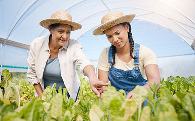 Image showing Farming, agriculture and women talking of plants in greenhouse for sustainability. Farmer people working together for eco lifestyle, agro startup or organic food, vegetable or lettuce for wellness